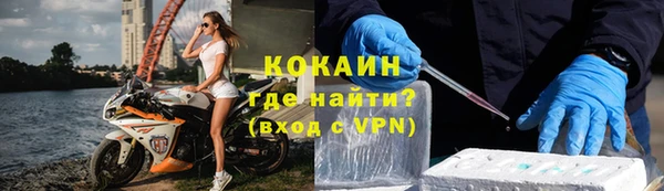 стафф Вязьма