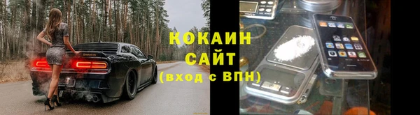 амф Володарск