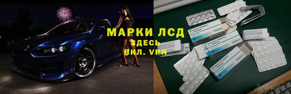 амф Володарск