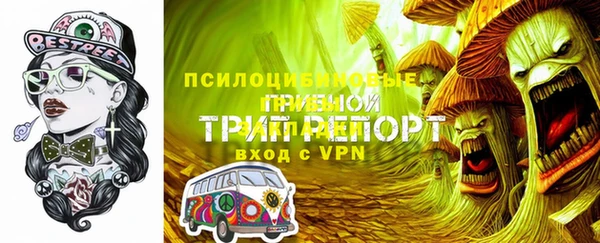 амф Володарск