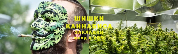 амф Володарск